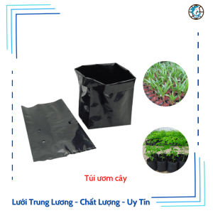 Túi ươm cây Trung Lương phân phối