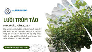 Lưới trùm táo mua ở đâu năm 2023?