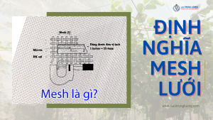 Mesh lưới là gì