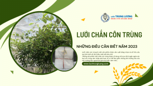 lưới chắn côn trùng trung lương và những điều cần biết