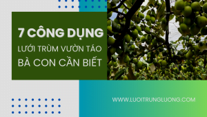 7 công dụng của lưới trùm vườn táo