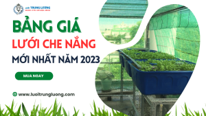 Bảng giá lưới lan mới nhất năm 2023