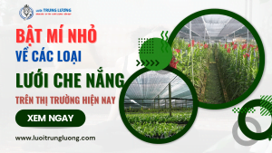 Các loại lưới lan trên thị trường hiện nay