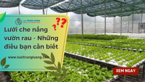 LƯỚI CHE NẮNG VƯỜN RAU