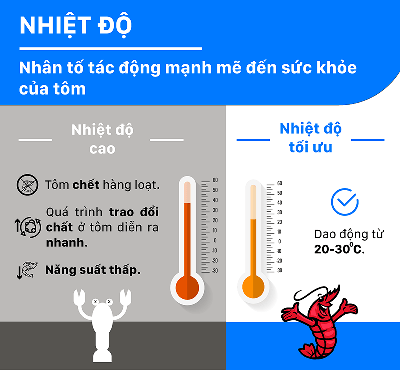 Nhiệt độ cao ảnh hưởng đến tôm cá