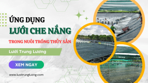 Ứng dụng lưới che nắng hồ tôm cá năm 2023