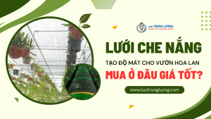 lưới che nắng cho lan mua ở đâu giá tốt
