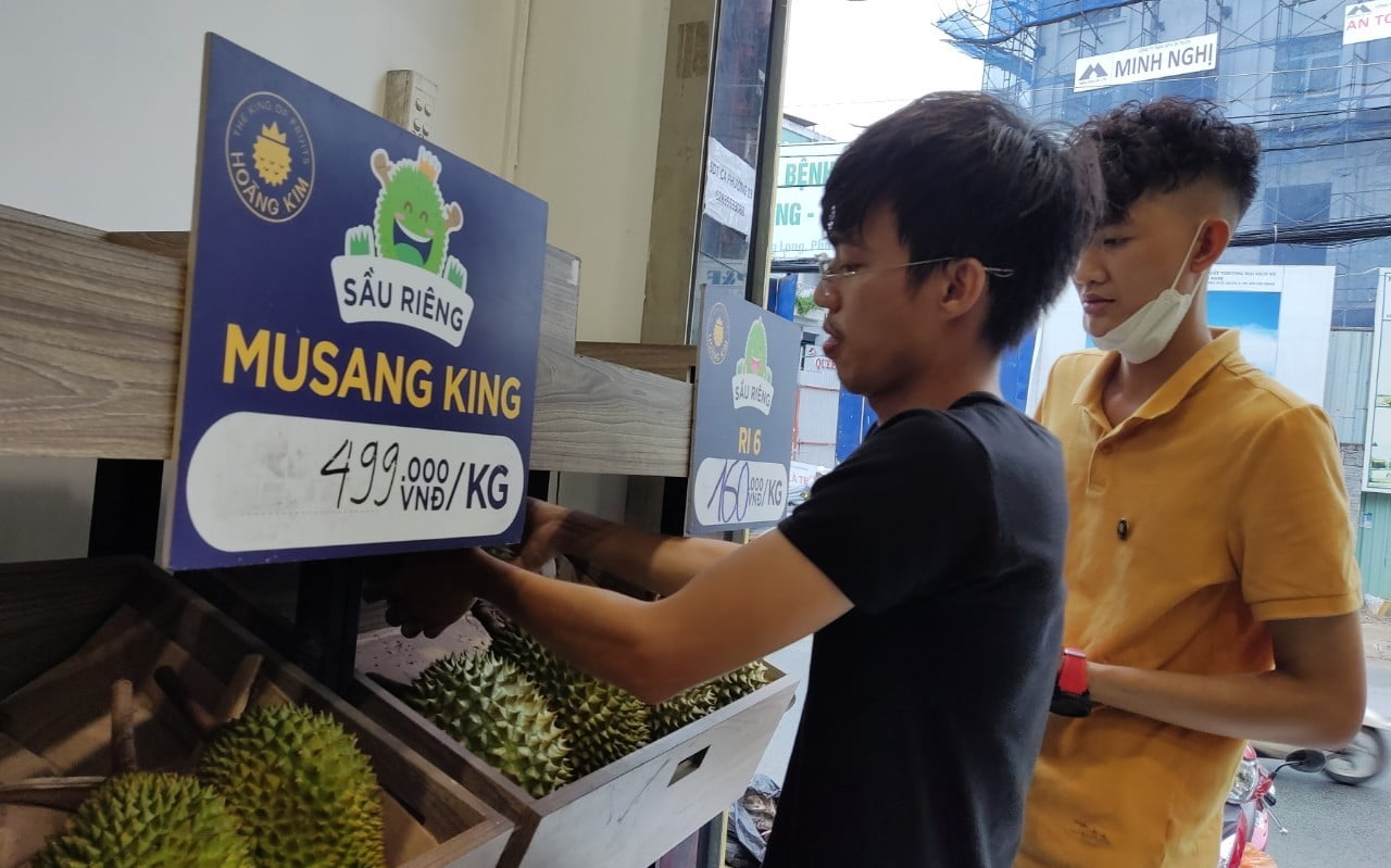 Giá của Sầu riêng Musang King khá cao - Lưới Trung Lương Giá của Sầu riêng Musang King khá cao