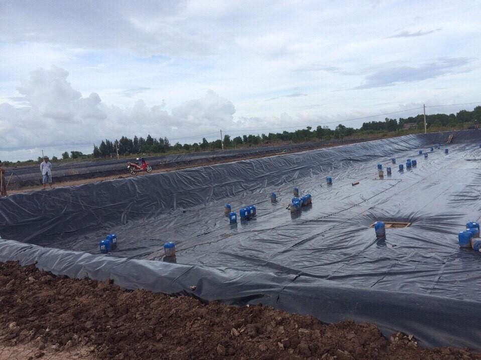 Bạt chống thấm HDPE