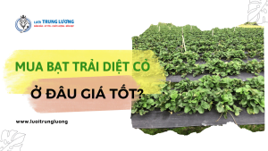 Mua bạt trải diệt cỏ ở đâu giá tốt năm 2023