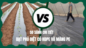 So sánh bạt phủ diệt cỏ HDPE và màng phủ PE