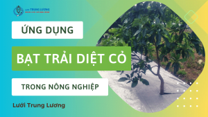 Ứng dụng của bạt phủ chống cỏ trong nông nghiệp năm 2023