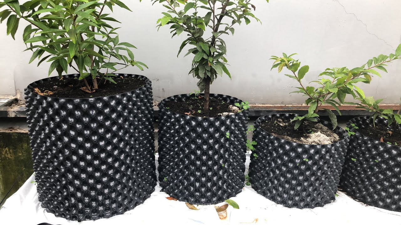 Bầu ươm cây thông minh V6 giá cực tốt