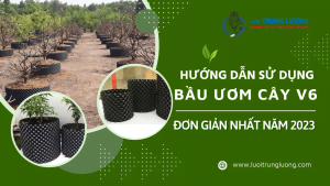 hướng dẫn cách sử dụng bầu ươm cây V6