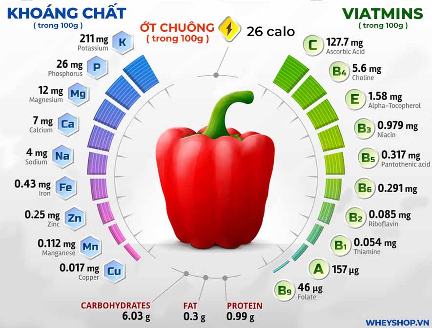 Các hợp chất có trong quả ớt chuông