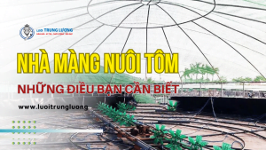 Nhà màng nuôi tôm là gì? Những điều bạn cần biết năm 2023