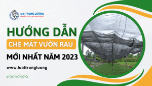 Hướng dẫn che nắng cho vườn rau năm 2023