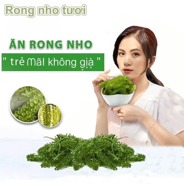 Rong nho có tác dụng làm đẹp da