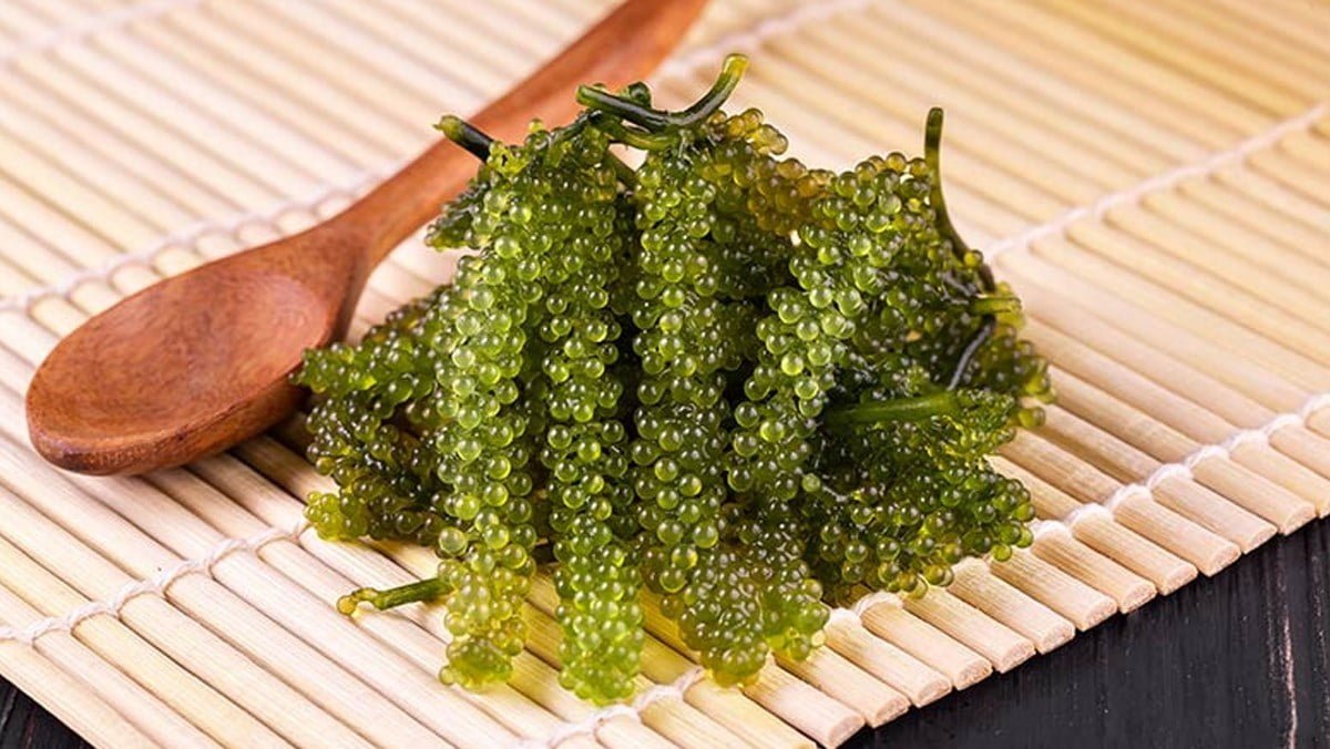 Rong nho là một loại thực phẩm có giá trị dinh dưỡng cao, mang lại nhiều lợi ích cho sức khỏe - Lưới Trung Lương Rong nho là một loại thực phẩm có giá trị dinh dưỡng cao, mang lại nhiều lợi ích cho sức khỏe