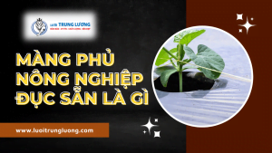 Màng phủ nông nghiệp đục lỗ sẵn là gì