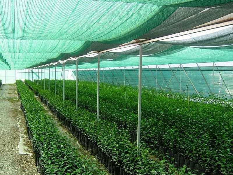 lưới che nắng cho vườn rau - Lưới Trung Lương lưới che nắng cho vườn rau
