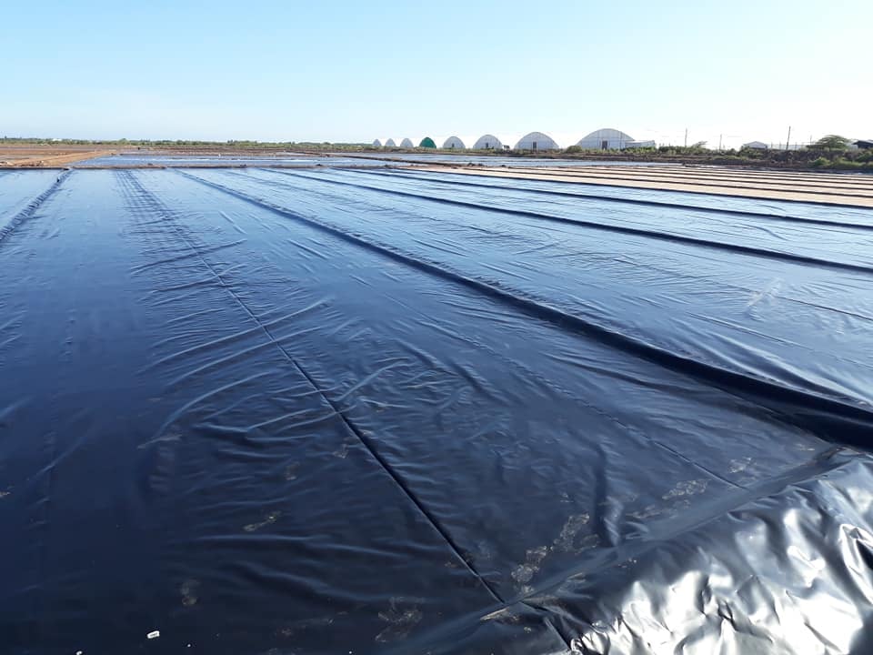 Bạt chống thấm HDPE được bà con sử dụng trong nông nghiệp - Lưới Trung Lương Bạt chống thấm HDPE được bà con sử dụng trong nông nghiệp