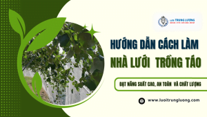 Cách làm nhà lưới trồng táo ở Ninh Thuận