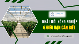 6 Điều bạn cần biết về nhà lưới nông nghiệp năm 2024