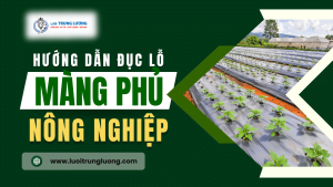 Hướng dẫn đục lỗ màng phủ nông nghiệp đúng cách năm 2024