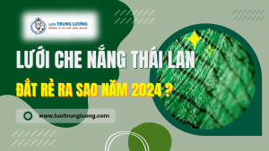 Lưới che nắng Thái Lan đắt rẻ ra sao năm 2024