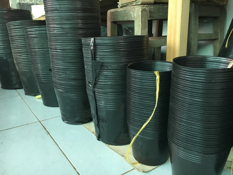 Các loại chậu nhựa trồng hoa hồng tại nhà