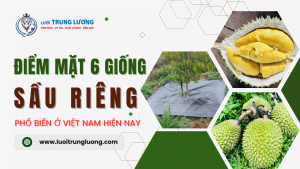 Điểm mặt 6 giống sầu riêng phổ biến ở Việt Nam