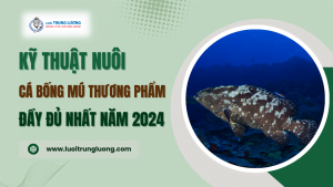 Kỹ thuật nuôi cá Bống Mú thương phẩm