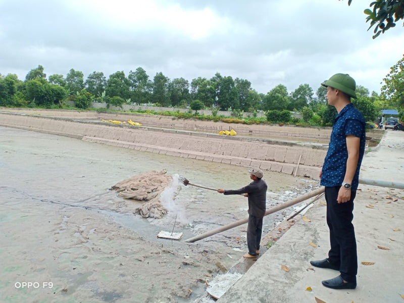 Tiến hành cải tạo ao nuôi cá