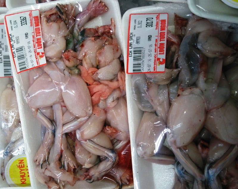 Ếch được bán khá nhiều trong các trung tâm thương mại - Lưới Trung Lương Ếch được bán khá nhiều trong các trung tâm thương mại