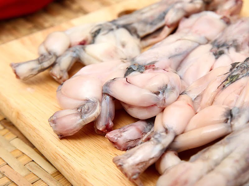 Thịt ếch có giá trị dinh dưỡng cao đối với con người - Lưới Trung Lương Thịt ếch có giá trị dinh dưỡng cao đối với con người