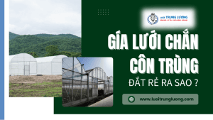 Giá lưới chắn côn trùng đắt rẻ ra sao