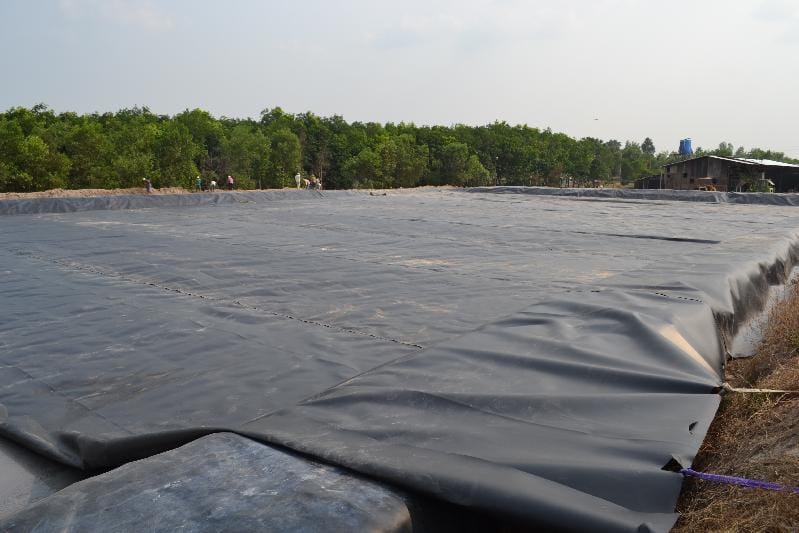 Màng chống thấm HDPE được sử dụng trong ao nuôi thủy sản - Lưới Trung Lương Màng chống thấm HDPE được sử dụng trong ao nuôi thủy sản