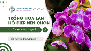 Trồng lan hồ điệp nên chọn lưới che nắng loại nào