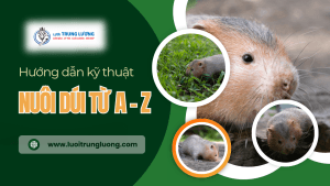 Kỹ thuật nuôi dúi từ A - Z cho bà con nông dân