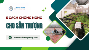 5 Cách chống nóng sân thượng hiệu quả cho mùa hè