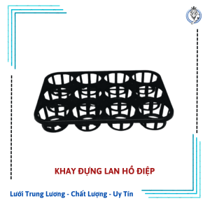 Khay nhựa đựng lan hồ điệp
