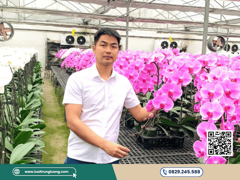 Khay nhựa đựng lan hồ điệp chất liệu dày, chịu lực tốt