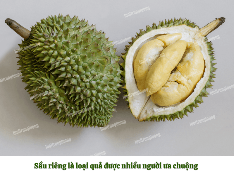 Sầu riêng là loại quả được nhiều người ưa chuộng - Lưới Trung Lương Sầu riêng là loại quả được nhiều người ưa chuộng