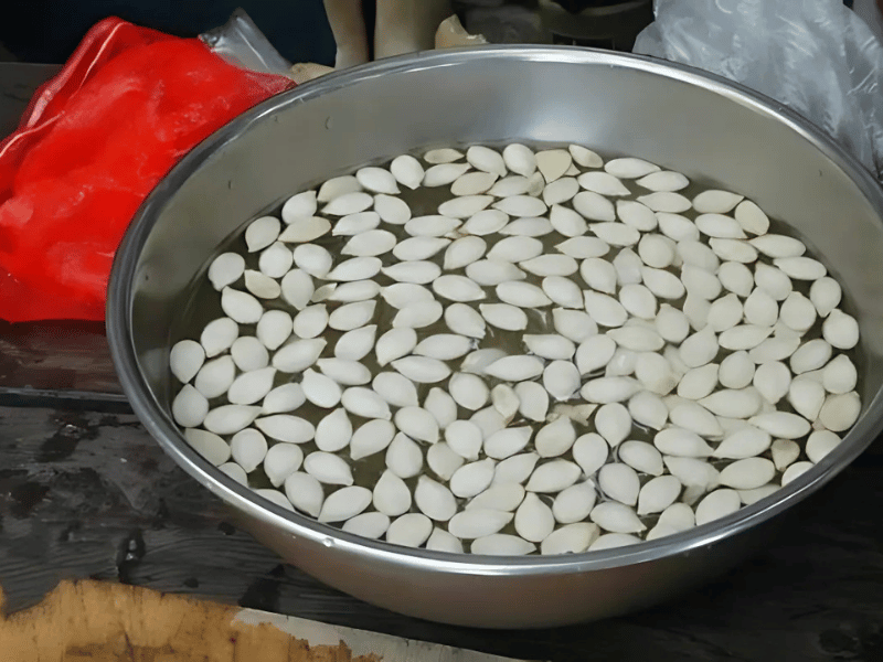 Hạt bí đỏ đang được ngâm trong nước ấm 35 độ C