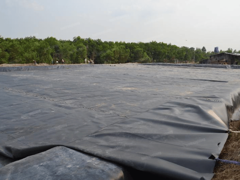 Lưới Trung Lương cam kết mang đến những sản phẩm bạt chống thấm tốt - Lưới Trung Lương Lưới Trung Lương cam kết mang đến những sản phẩm bạt chống thấm tốt