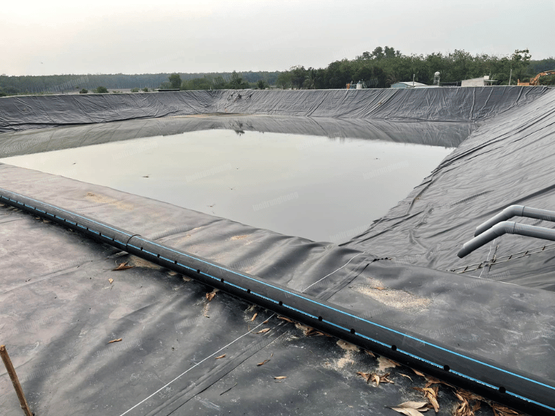 Ứng dụng bạt lót ao HDPE trong nuôi trồng thủy sản hiện đại - Lưới Trung Lương Ứng dụng bạt lót ao HDPE trong nuôi trồng thủy sản hiện đại