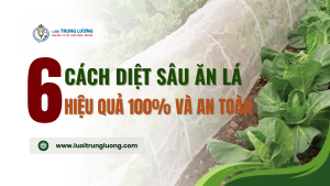 TOP 6 cách diệt sâu ăn lá hiệu quả 100% và an toàn