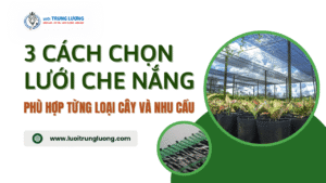 3 Cách chọn lưới che nắng phù hợp từng loại cây và nhu cầu