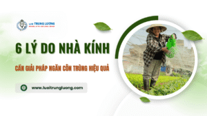 6 Lý do nhà kính cần giải pháp ngăn côn trùng hiệu quả